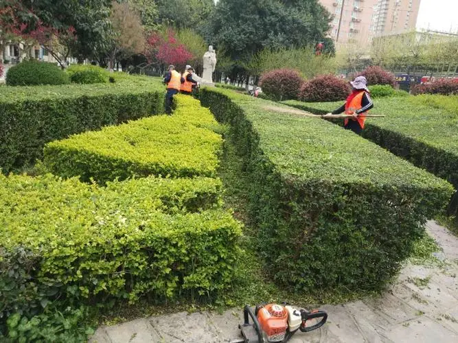 容城大水路绿化工程项目