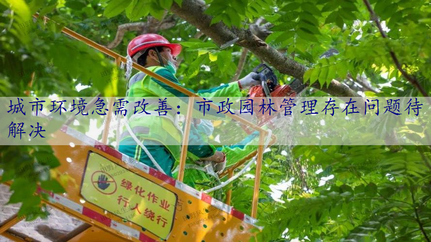 城市环境急需改善：市政园林管理存在问题待解决