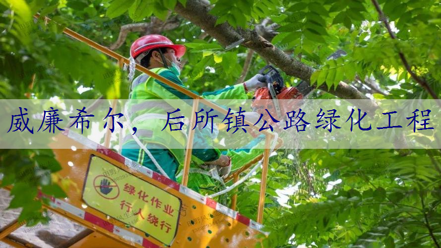 后所镇公路绿化工程