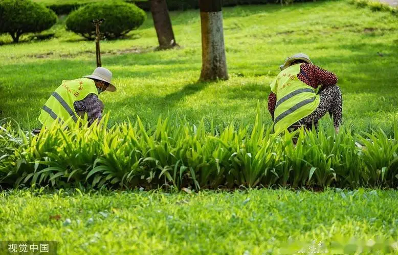 阳江绿化工程投标文件范本