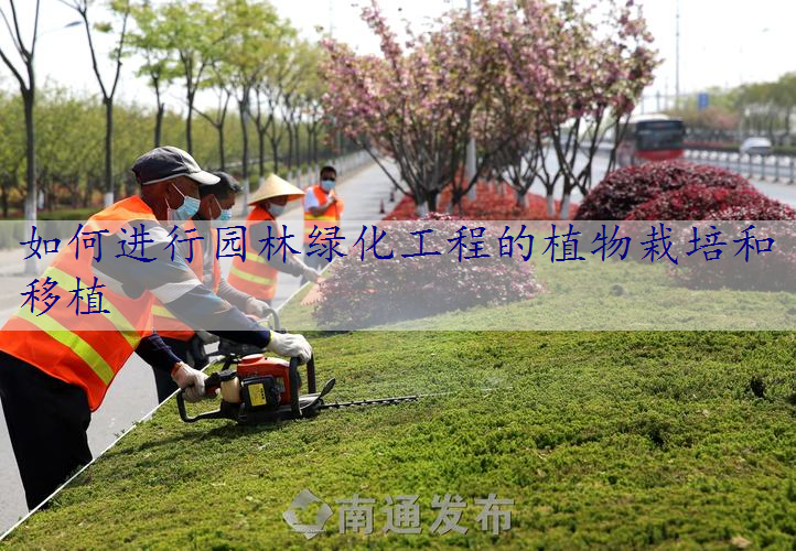 如何进行园林绿化工程的植物栽培和移植