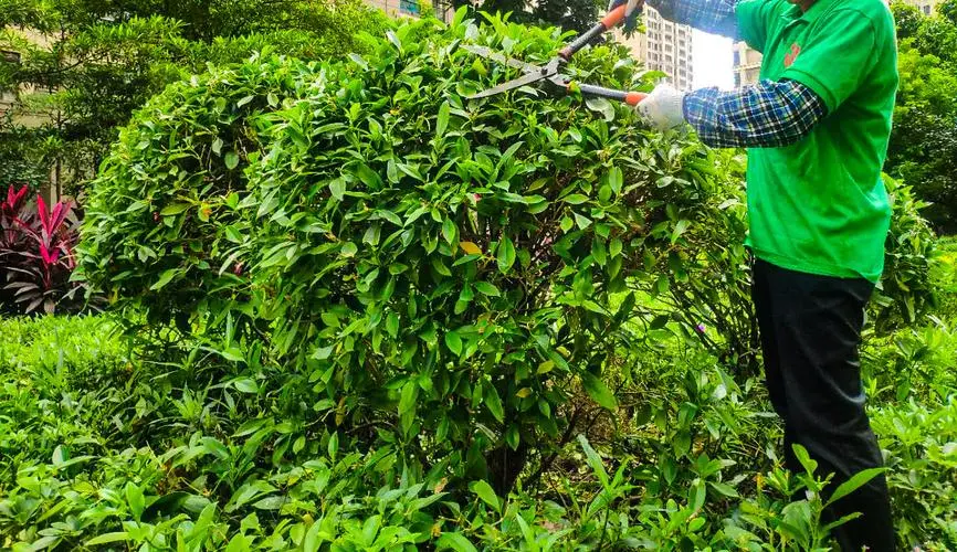 别墅园林景观设计入口