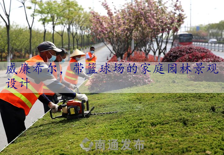 带篮球场的家庭园林景观设计