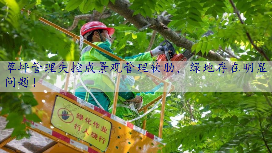 草坪管理失控成景观管理软肋，绿地存在明显问题！