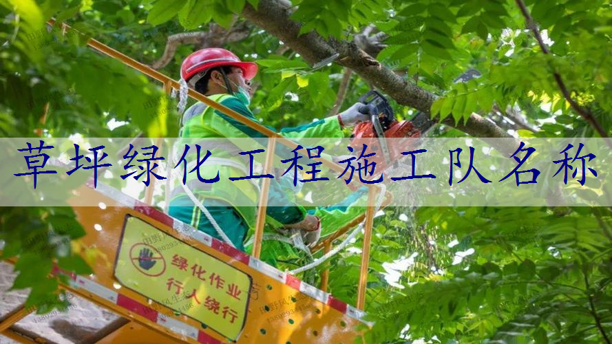 草坪绿化工程施工队名称